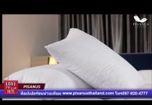 ท็อปเปอร์ขนห่านเทียม Pisanus Thailand
