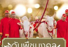 วันพระราชพิธีพืชมงคล 🐂🐂✨