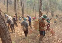 ชุมชนบ้านแม่คองซ้าย อ.เชียงดาว จ.เชียงใหม่ ทำแนวกันไฟ