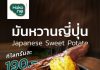 อีกหนึ่งความอร่อยที่อยากให้ลองงงง “มันหวานญี่ปุ่น” Sweet Potato หรือในภาษาญี่ปุ่นเรียกว่า いも (อิโมะ)