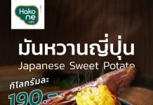 อีกหนึ่งความอร่อยที่อยากให้ลองงงง “มันหวานญี่ปุ่น” Sweet Potato หรือในภาษาญี่ปุ่นเรียกว่า いも (อิโมะ)