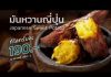 “มันหวานญี่ปุ่น” Sweet Potato หรือในภาษาญี่ปุ่นเรียกว่า いも (อิโมะ)