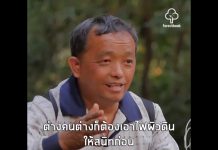 เนื้อหาในคลิปนี้ว่าด้วยกรณีไฟป่าดอยสุเทพ