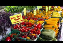 รายการ “ไจ้ไค่เล่า” #วัยเก๋ารู้เท่าทันสื่อ EP.8