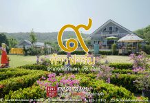 ที่นี่ ๙ ก้าวฟาร์ม 🌸🌼🌾🦚