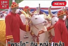 ผลการเสี่ยงทายผ้านุ่งแต่งกายพระยาแรกนา