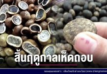 เล่าข่าวเช้านี้ วันจันทร์ ที่ 5 มิถุนายน 2566