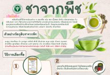 ปัจจุบันมีการนำพืชผัก ผลไม้ ดอกไม้หลากหลายชนิดมาทำเป็นชา