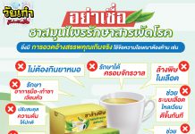 ชาสมุนไพร รักษาสารพัดโรค
