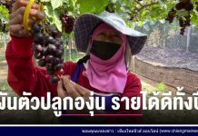 รายการเล่าข่าวเช้านี้ 8 มกราคม 2567