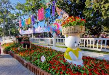 Day1 งานไม้ดอกเชียงใหม่ คุณอยากเห็นอะไร ในงานไม้ดอกปีนี้