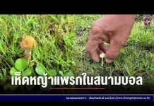 รายการเล่าข่าวเช้านี้ 27 พฤษภาคม 2567